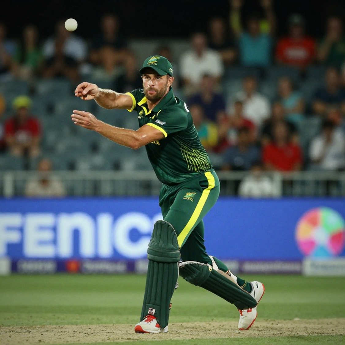 The Discipline of Empty Input: Why Cricket Analysis Refuses to Rule on Data It Doesn't Have The Discipline of Empty Input: Why Cricket Analysis Refuses to Rule on Data It Doesn't Have