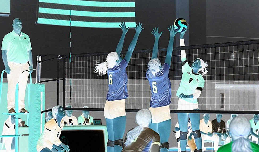 The Silence of Three Sets: Vietnam's Invisible Volleyball Quarterfinal in an Asian Games Diary The Silence of Three Sets: Vietnam's Invisible Volleyball Quarterfinal in an Asian Games Diary