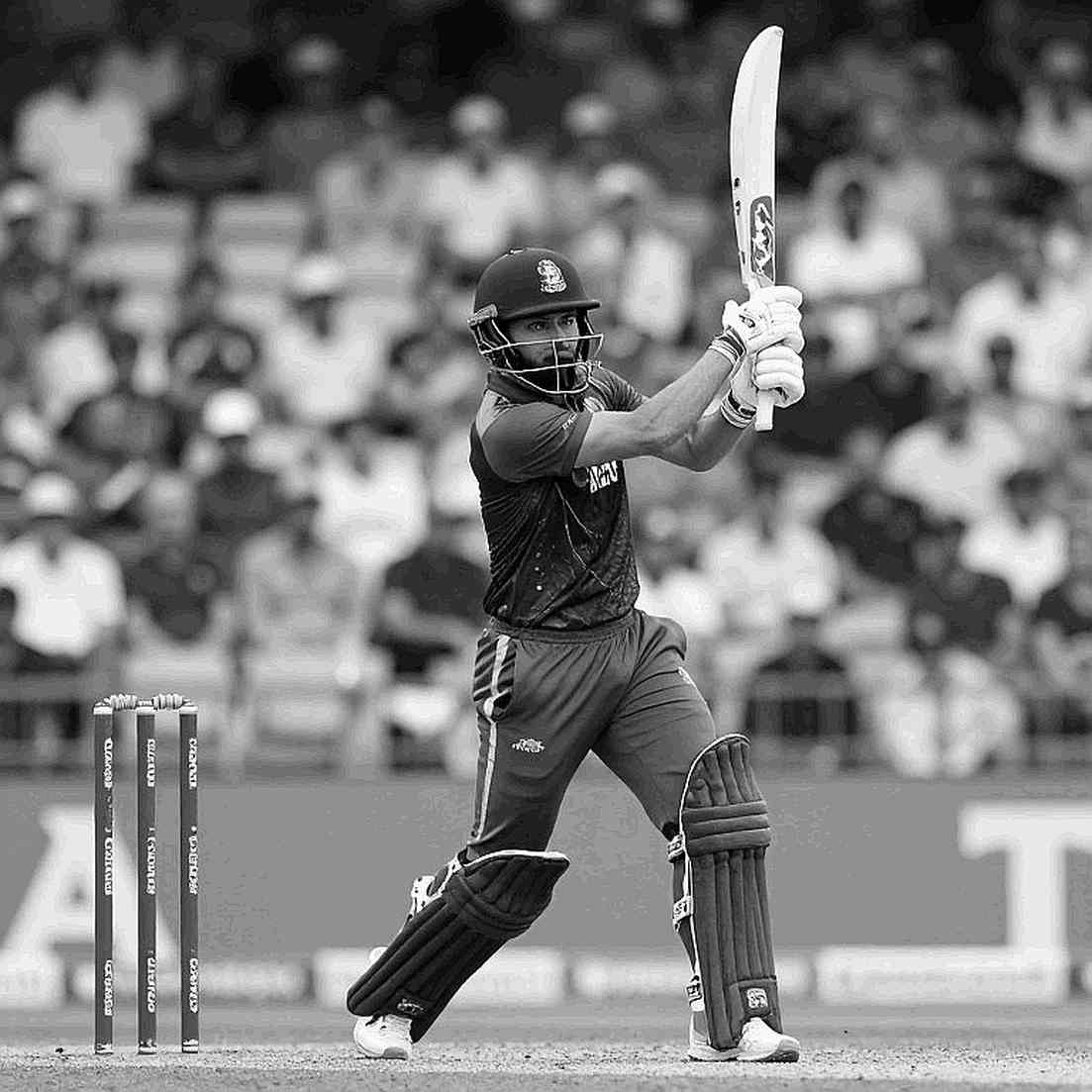 No Clip, No Verdict: Cricket Analysis and the Empty Evidence Set No Clip, No Verdict: Cricket Analysis and the Empty Evidence Set