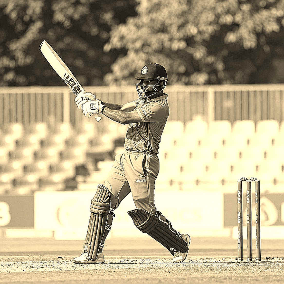 Cricket Beyond Controversy: DRS, Umpire's Call and the Limits of Technology Cricket Beyond Controversy: DRS, Umpire's Call and the Limits of Technology